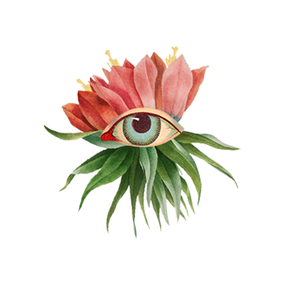 ECO Logo